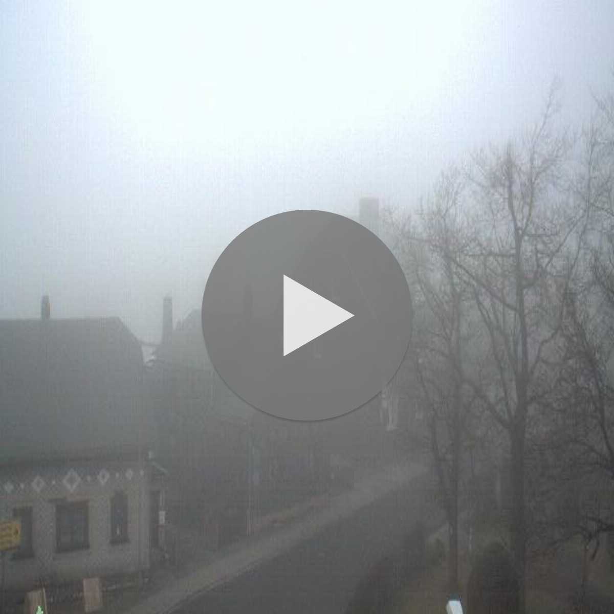 Bernhardsthal webcam