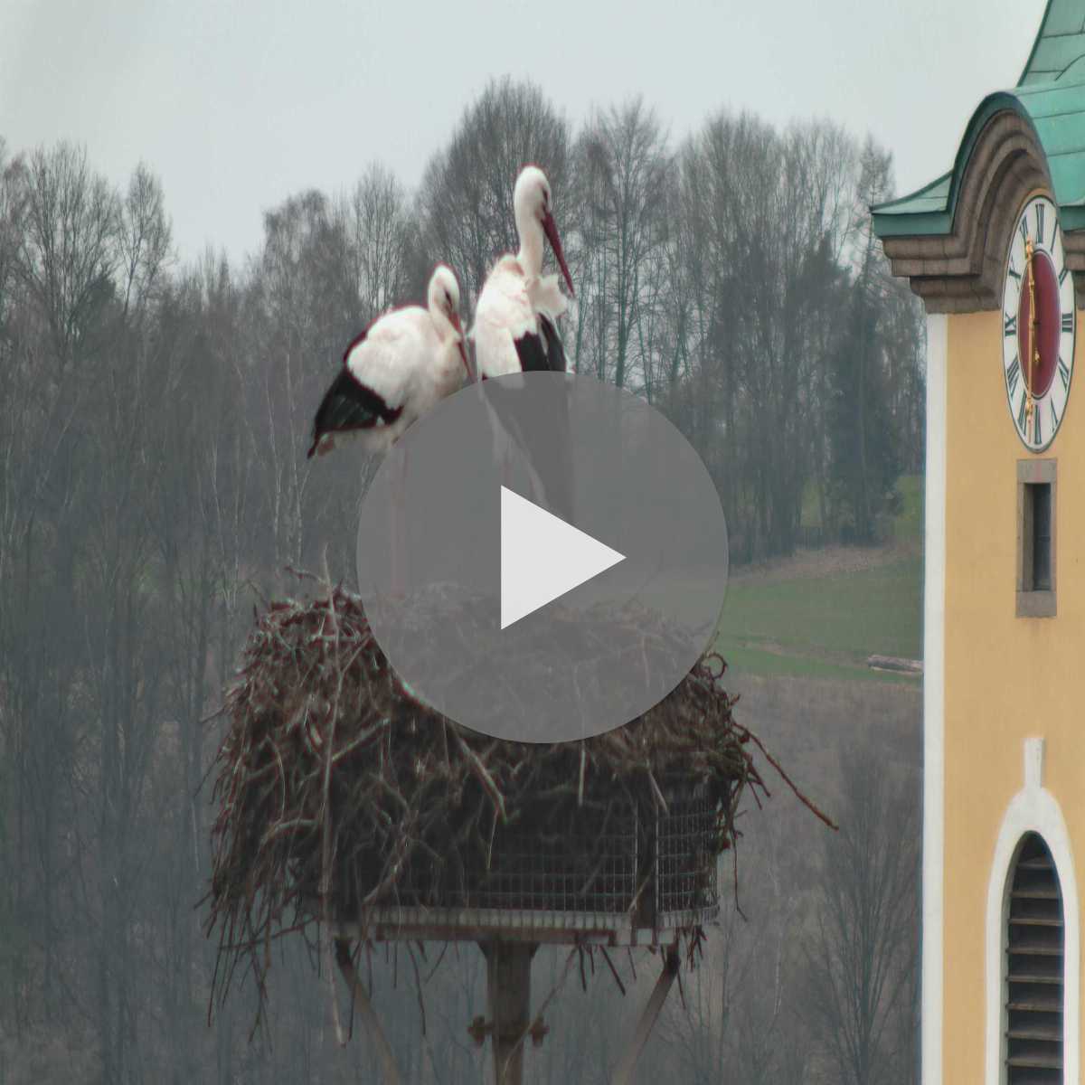Baierbrunn webcam
