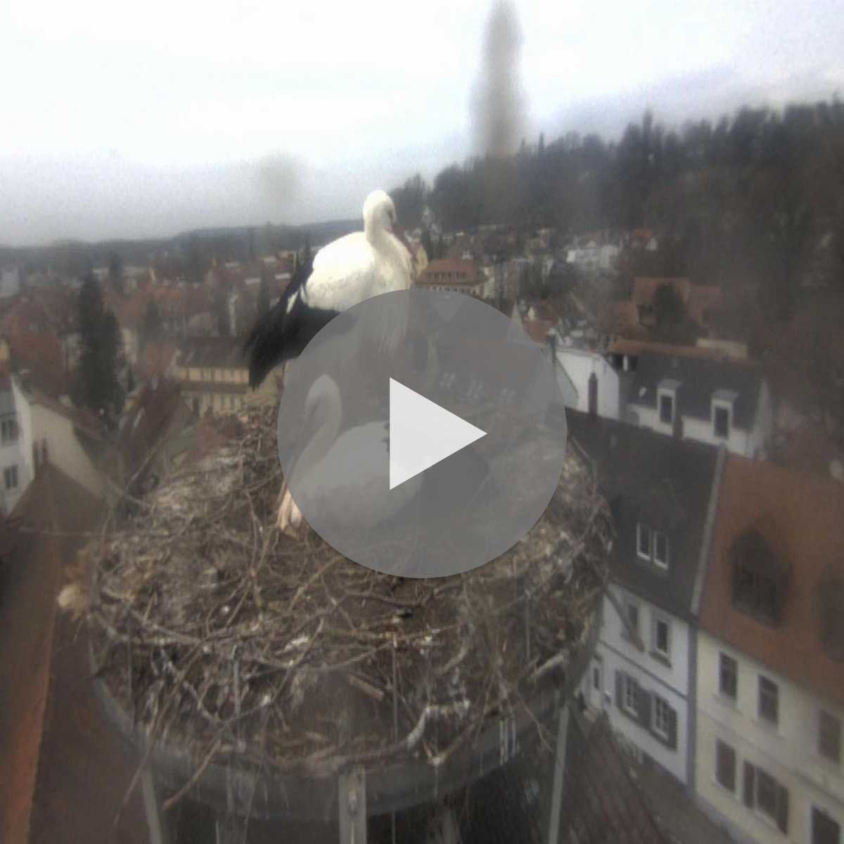 Stadtprozelten webcam