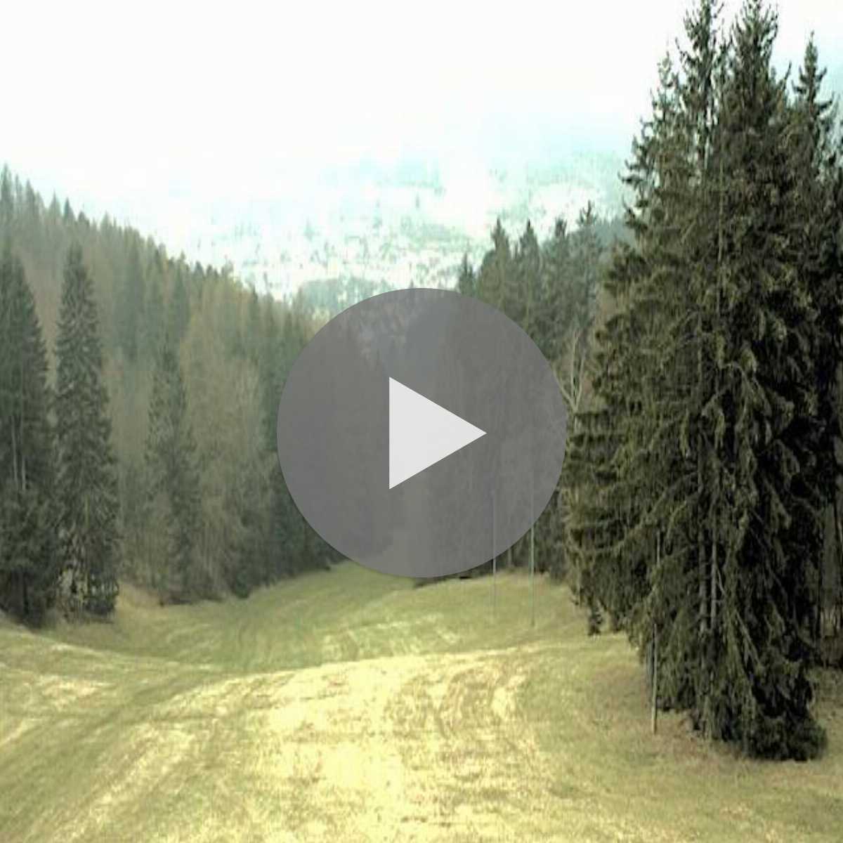 Bernhardsthal webcam