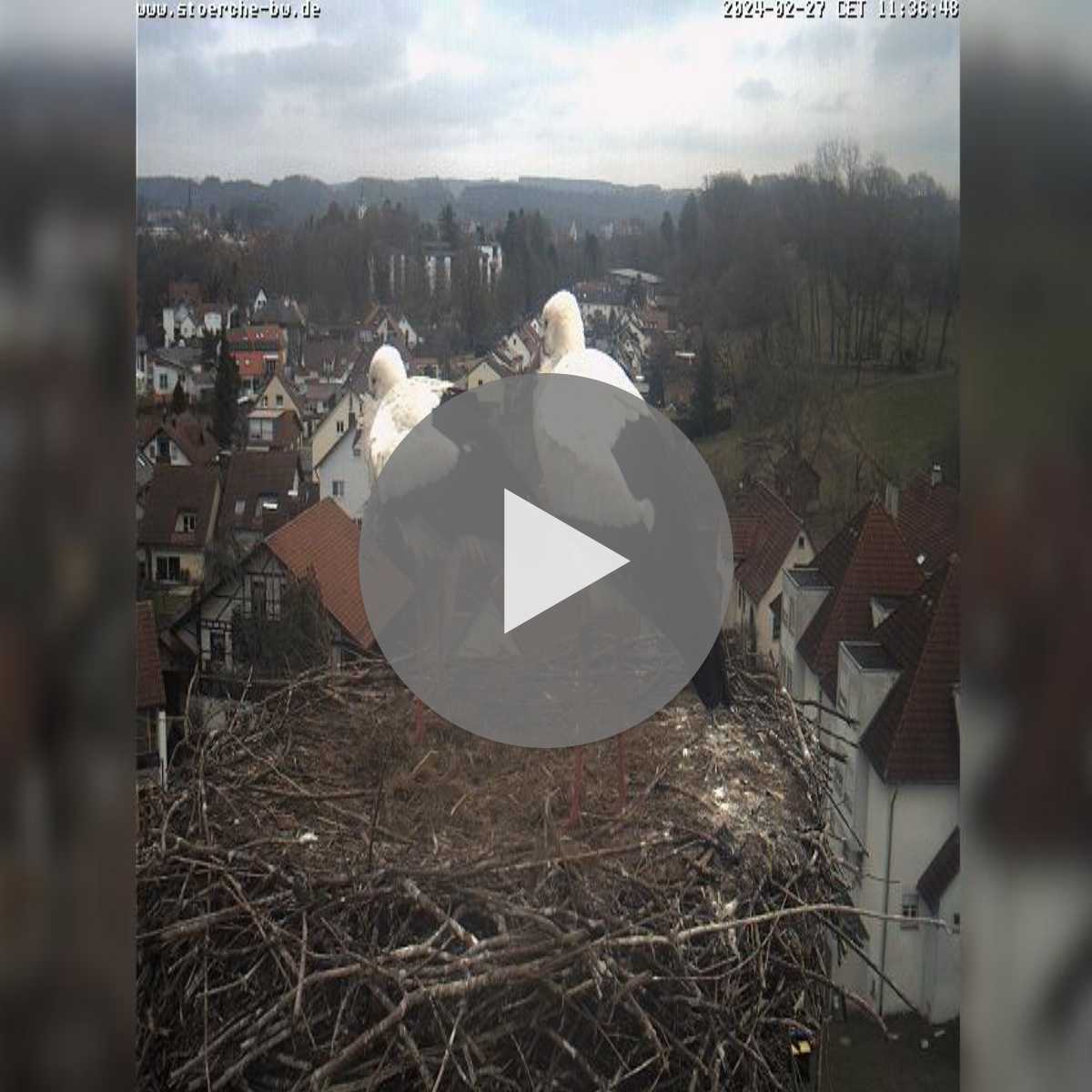 Hosskirch webcam