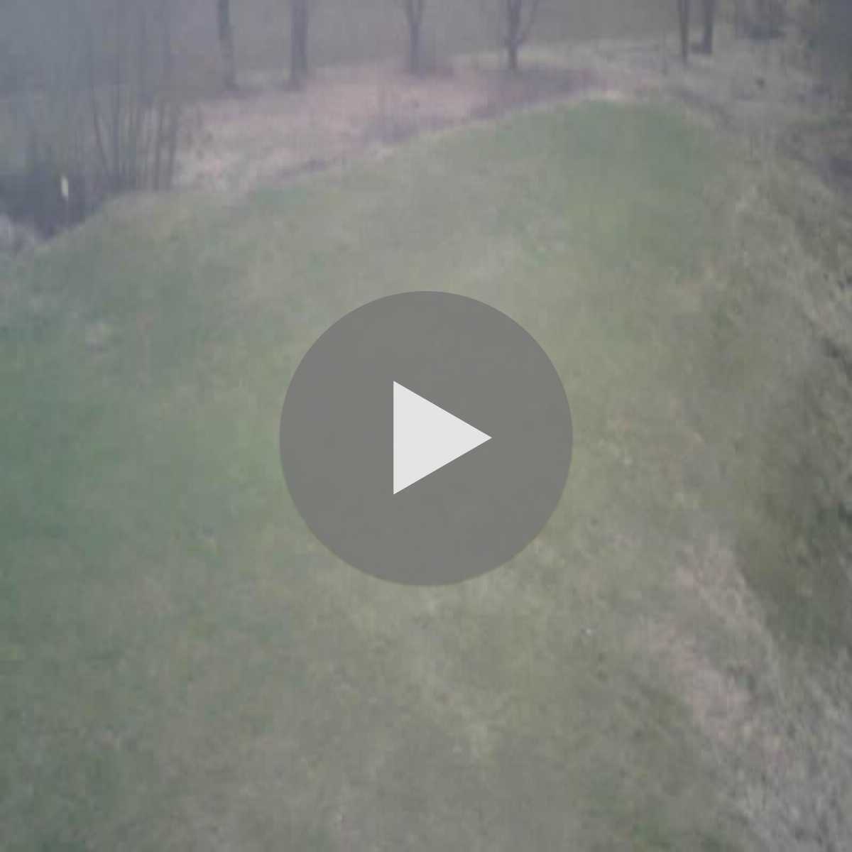 Baierbrunn webcam