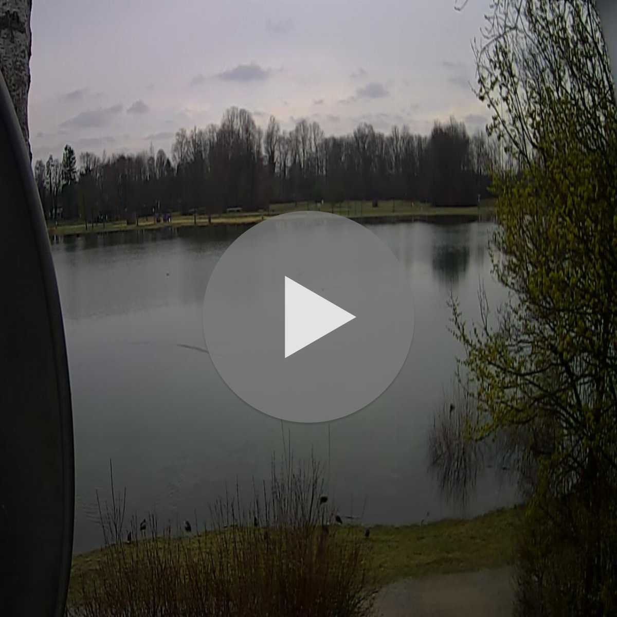 Baierbrunn webcam