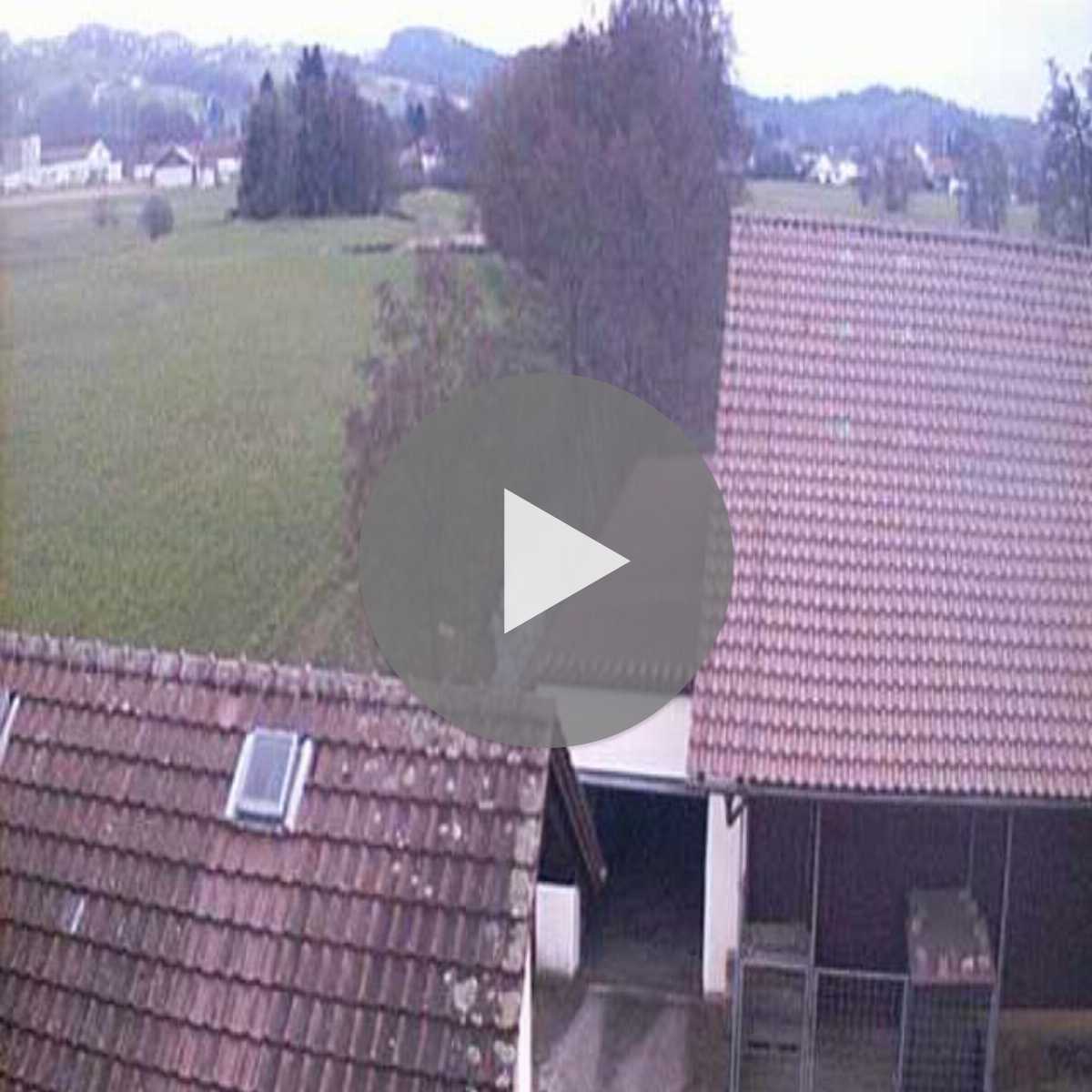 Baierbrunn webcam