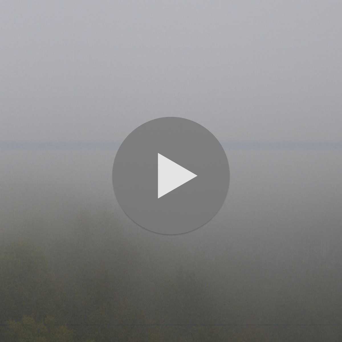 Moriken Wildegg webcam