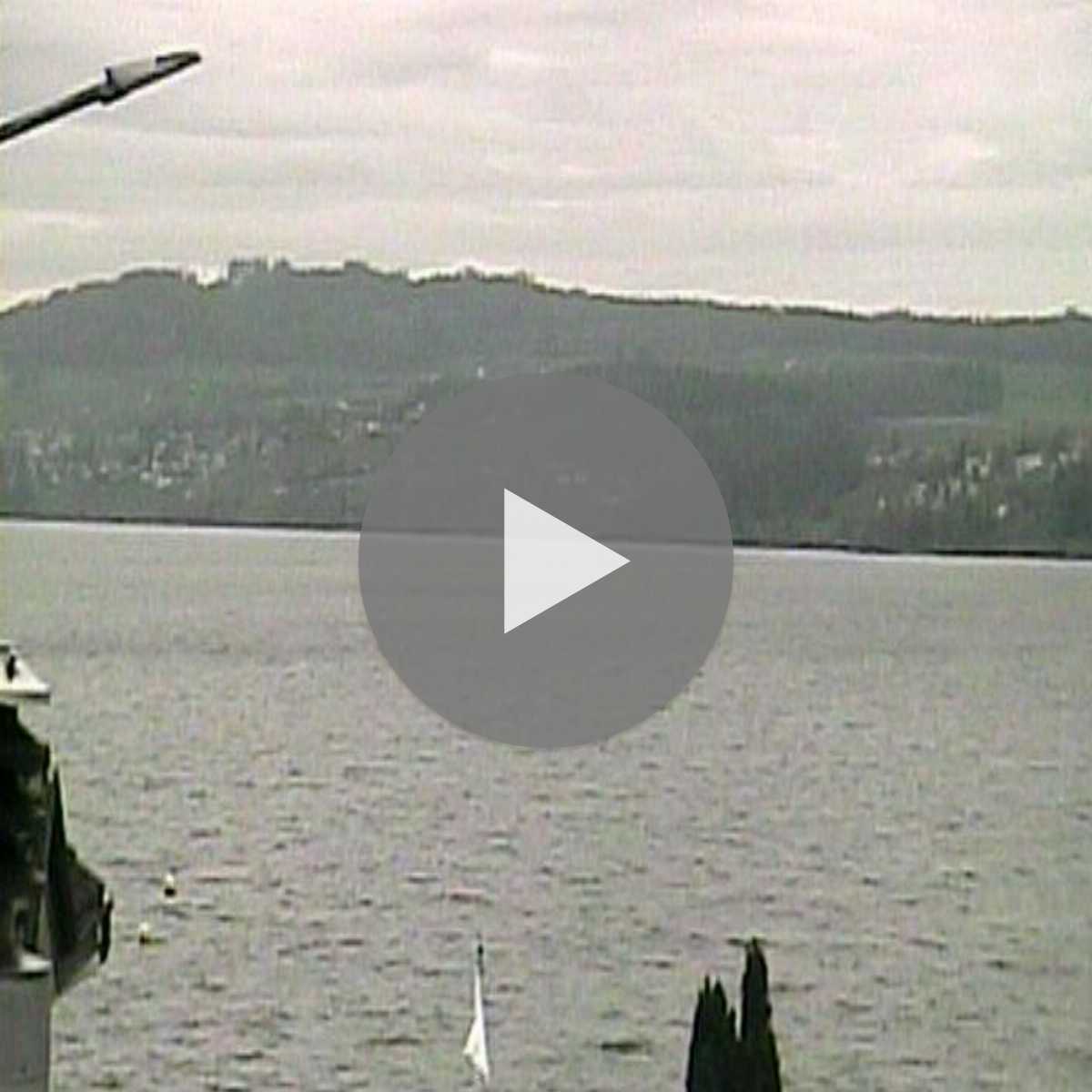 Moriken Wildegg webcam