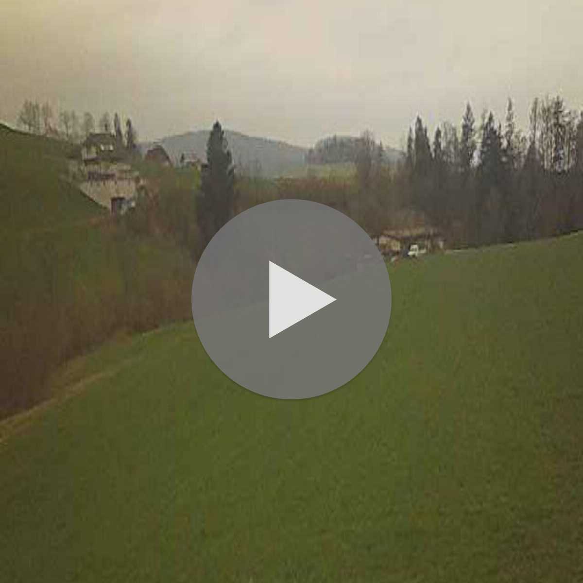 Valbirse webcam
