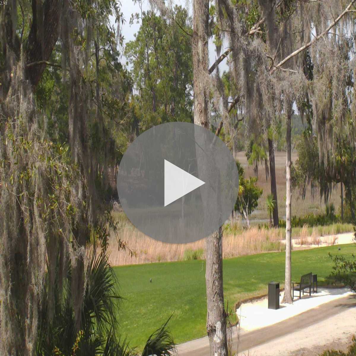 Hilton Head Island webcam