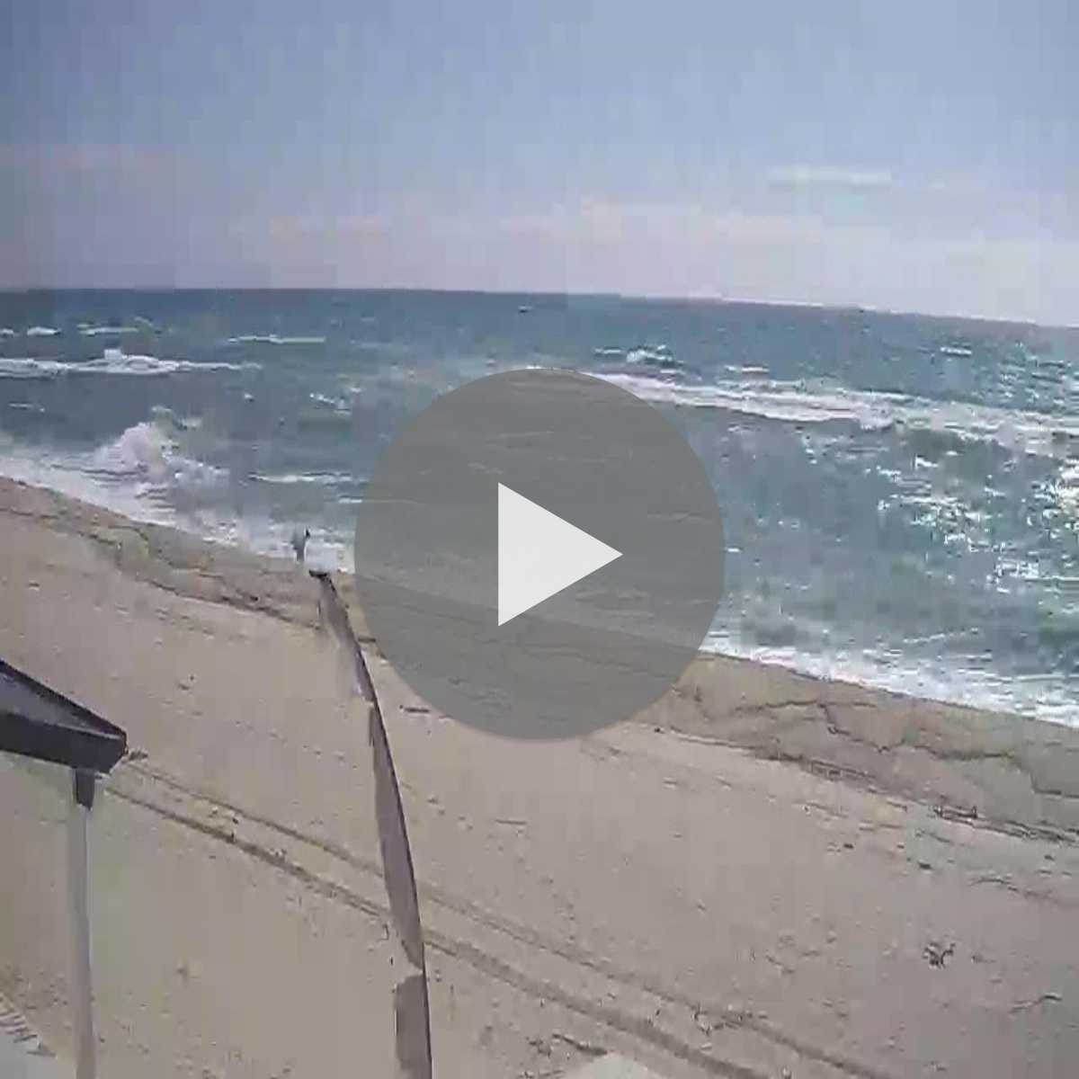 Cavoni Ginestreto webcam