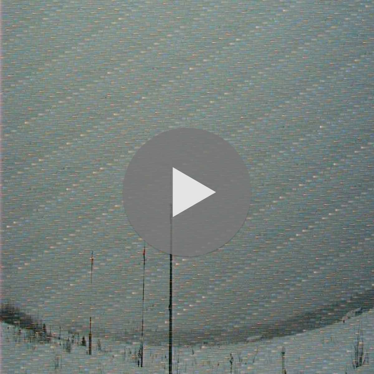 Golden webcam