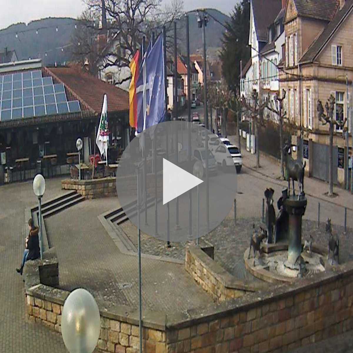 Kottenheim webcam