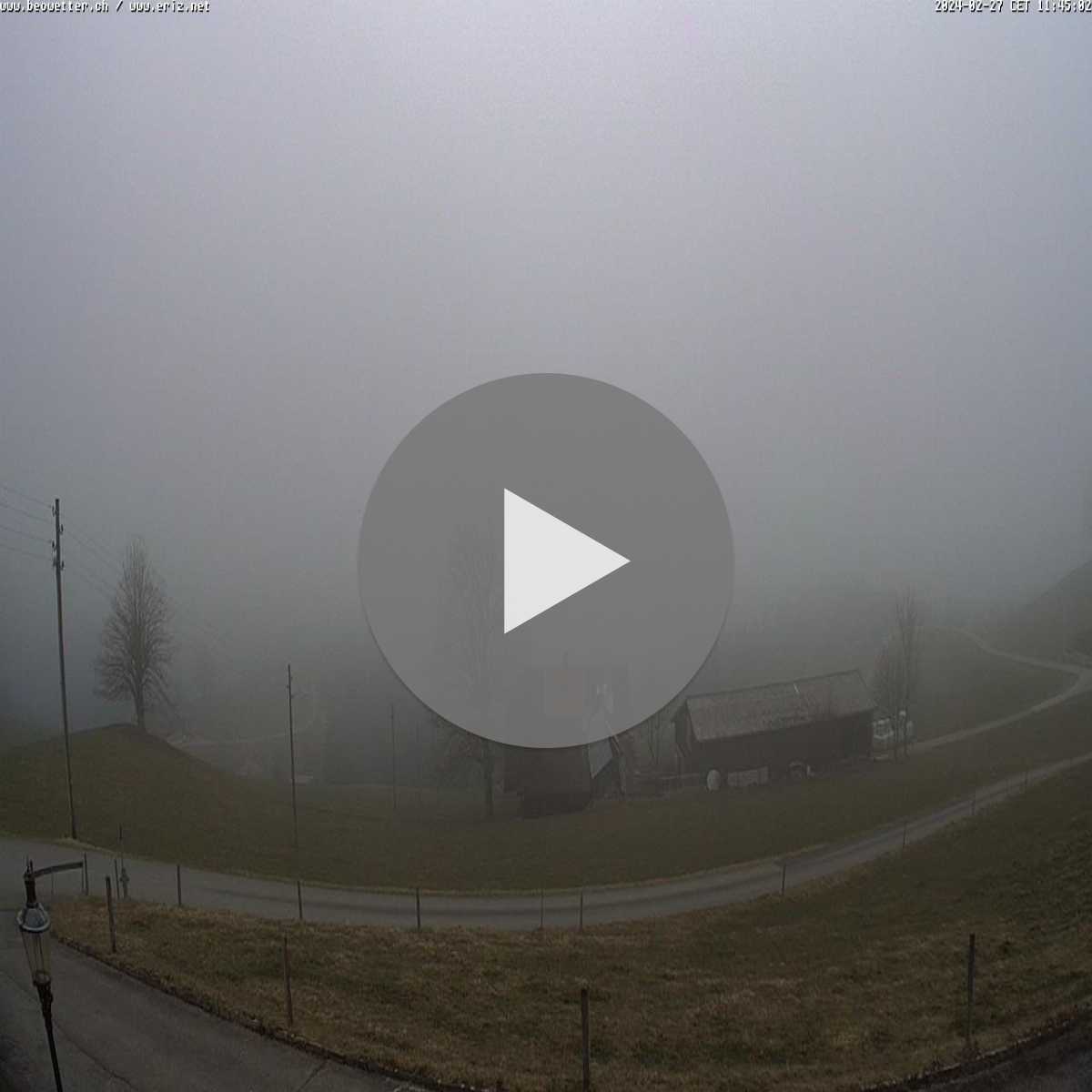 Valbirse webcam