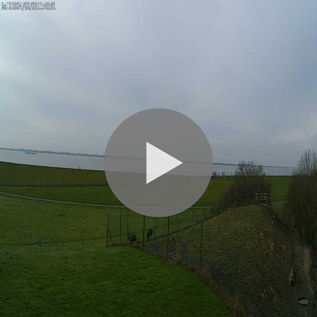 Alfeld Leine webcam