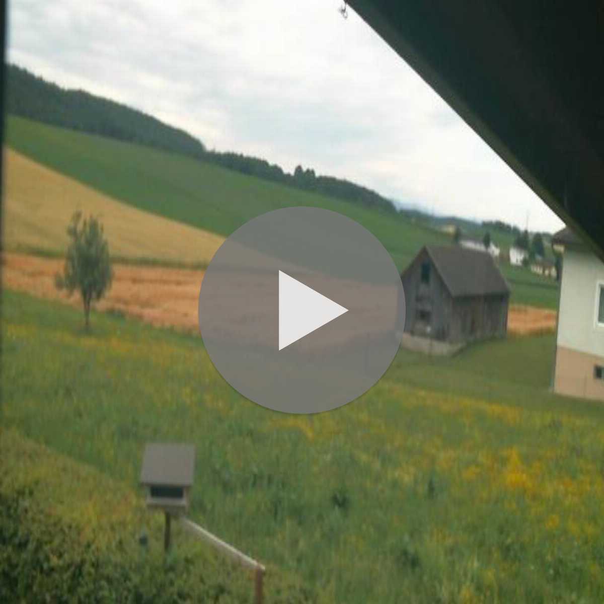 Barnkopf webcam