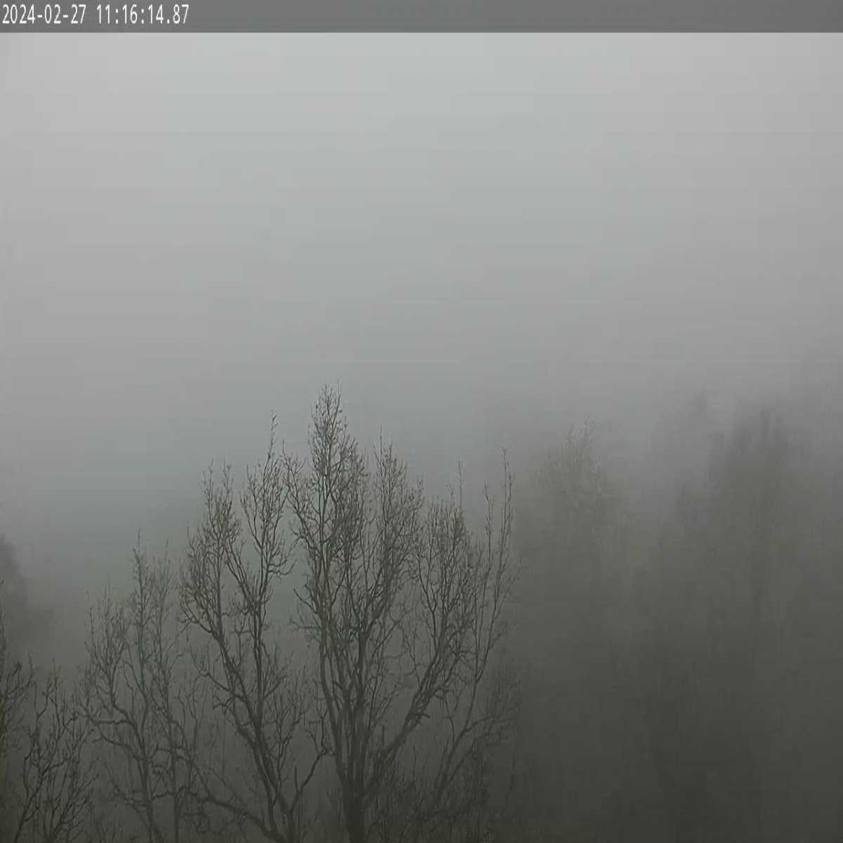 Rodewisch webcam