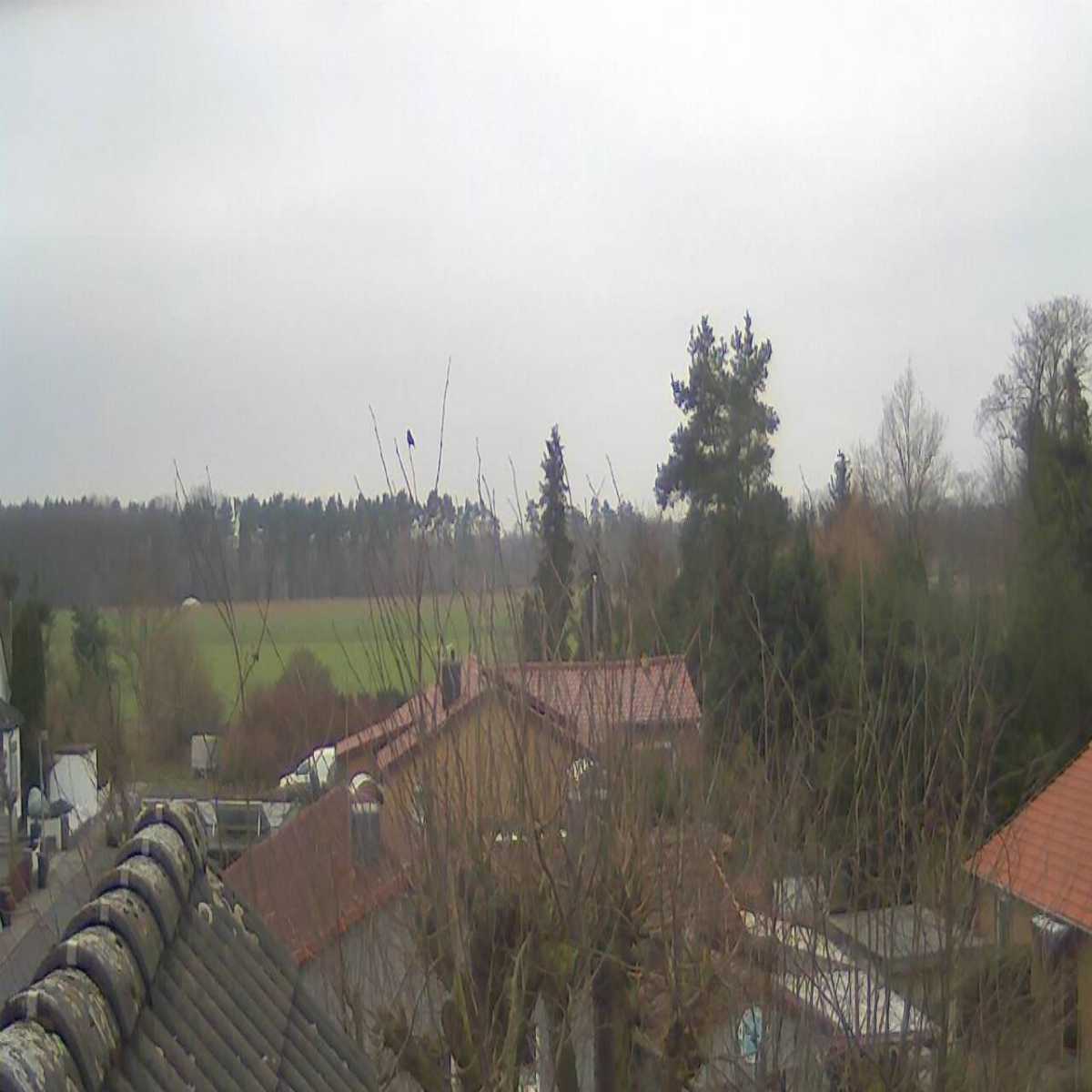 Alfeld Leine webcam