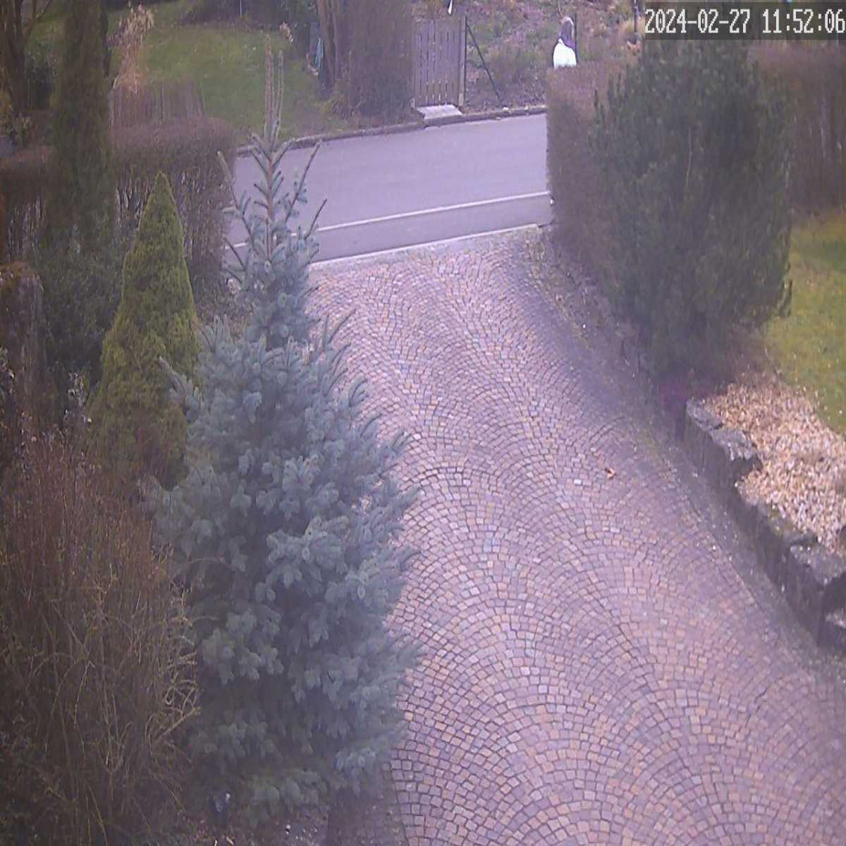 Baierbrunn webcam