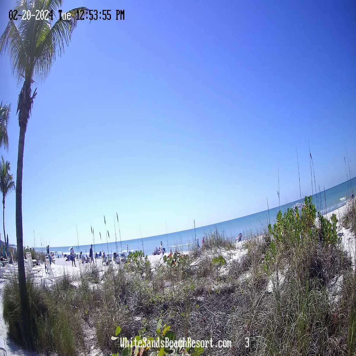 Titusville webcam