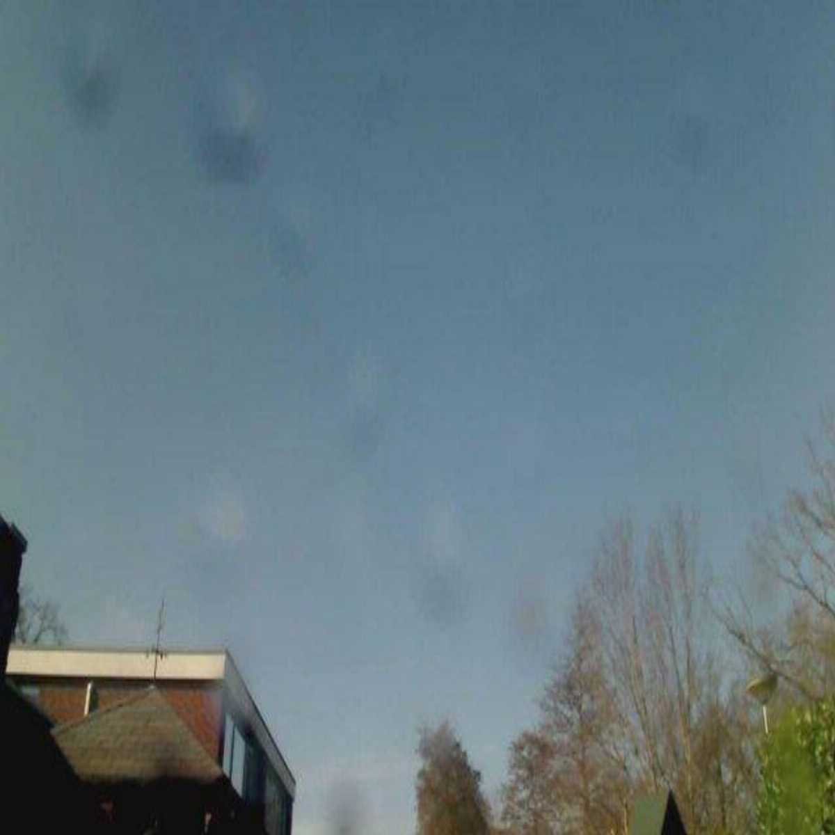 Hooglanderveen webcam