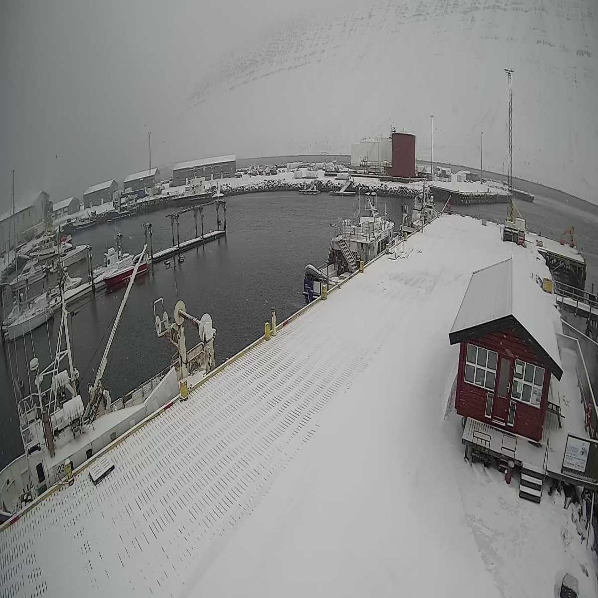 Isafjordhur webcam