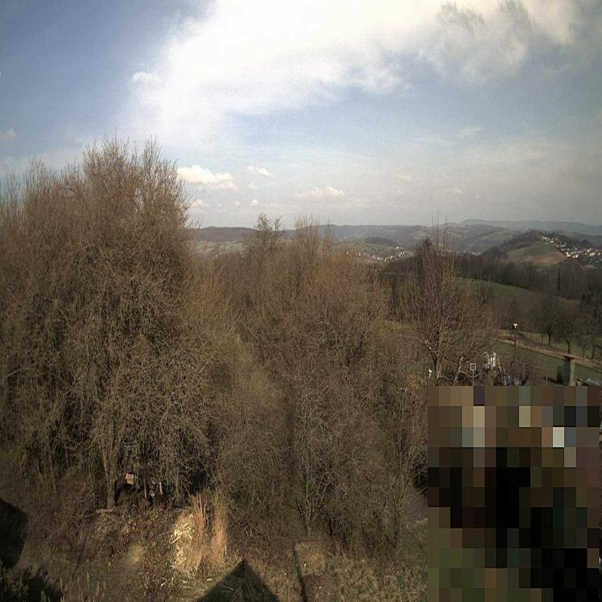 Baierbrunn webcam