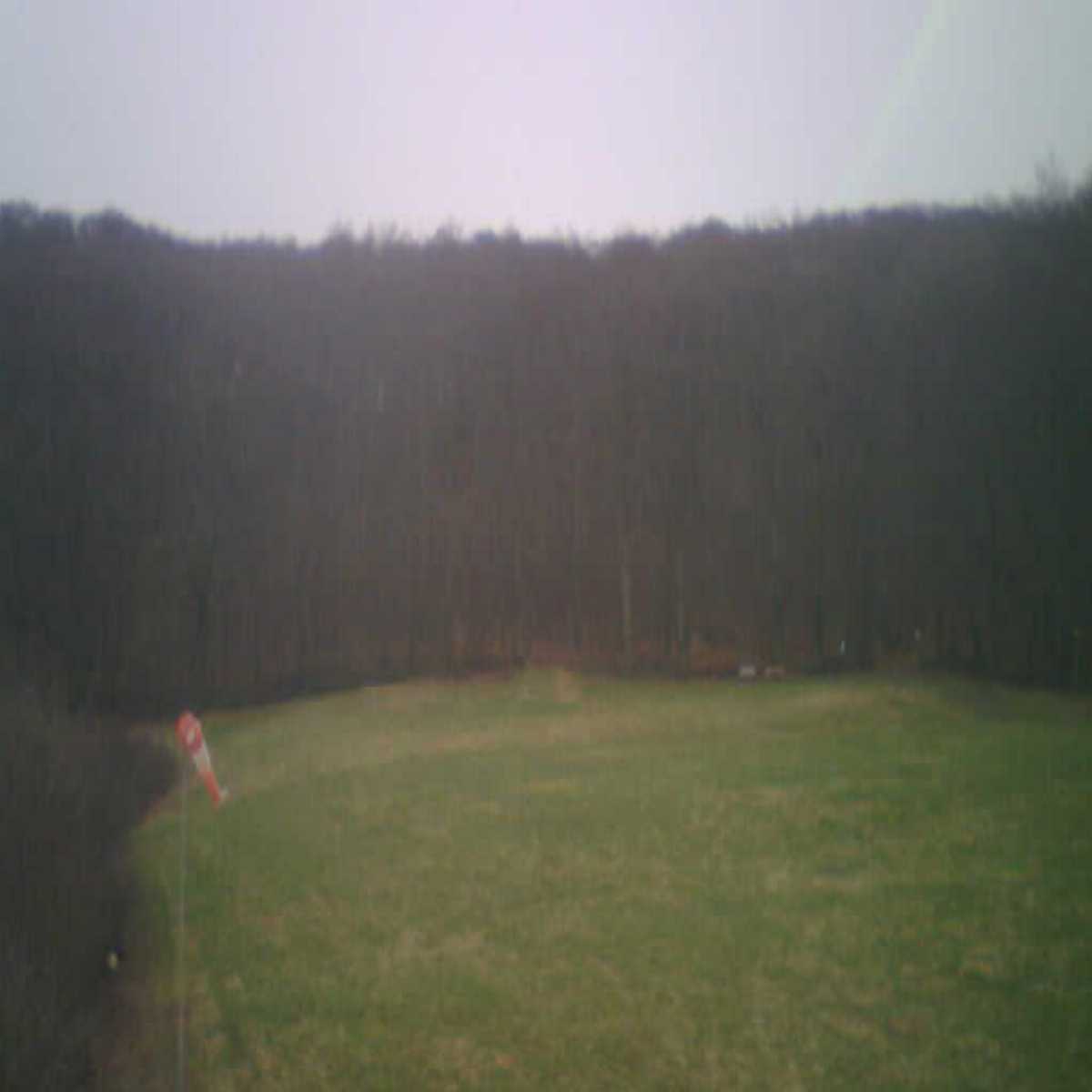 Alfeld Leine webcam