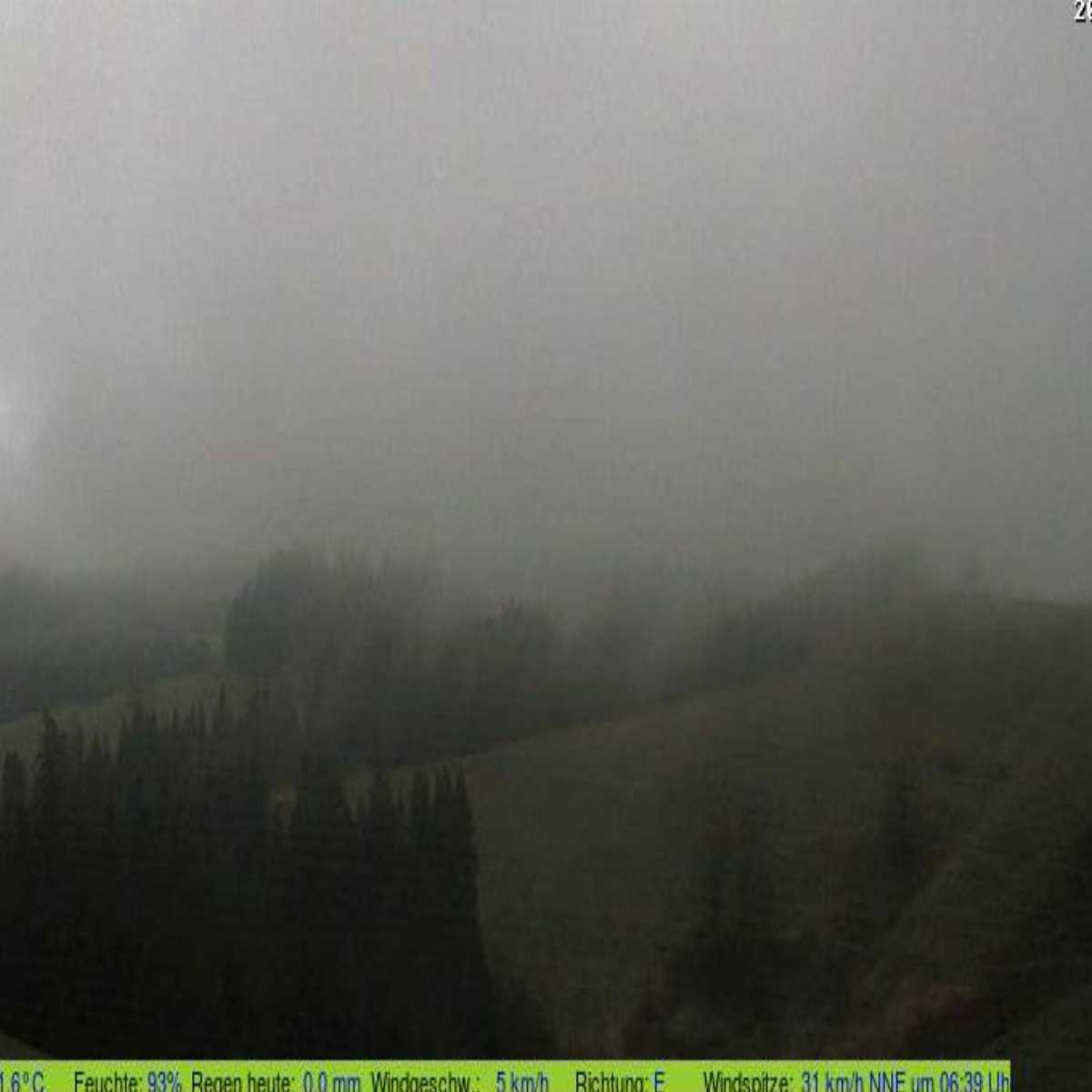 Valbirse webcam
