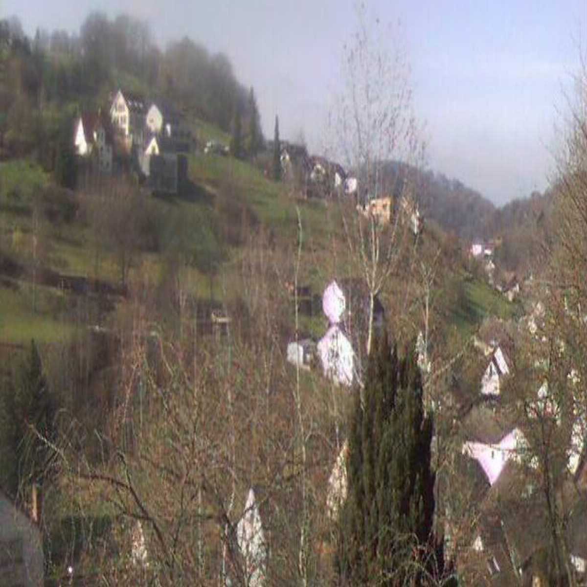 Stadtprozelten webcam