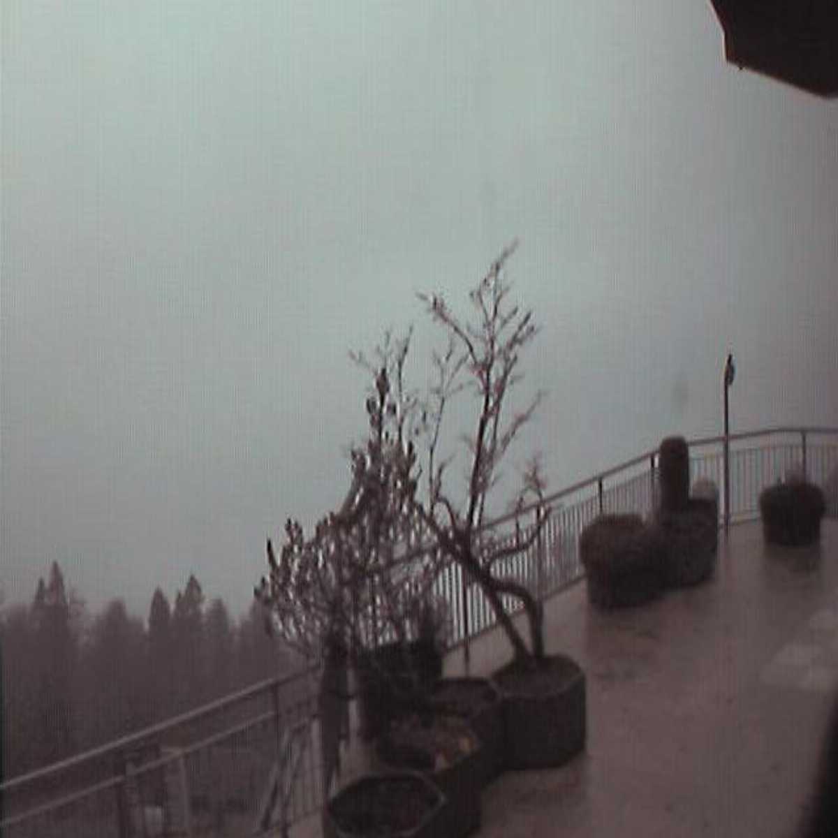 Valbirse webcam