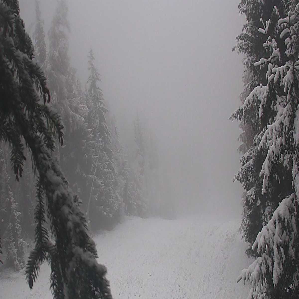 Frydlant Nad Ostravici webcam