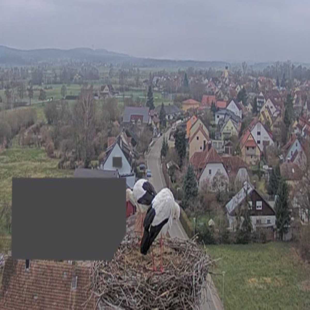 Baierbrunn webcam