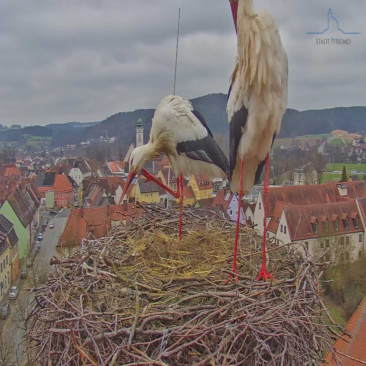 Baierbrunn webcam