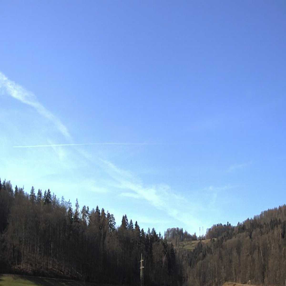 Moriken Wildegg webcam