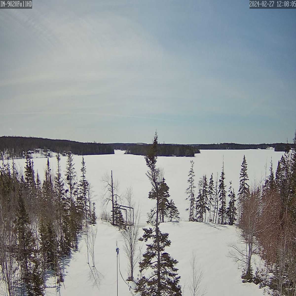 Cookville webcam