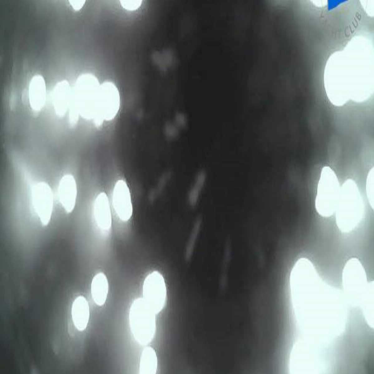 North Berwick webcam