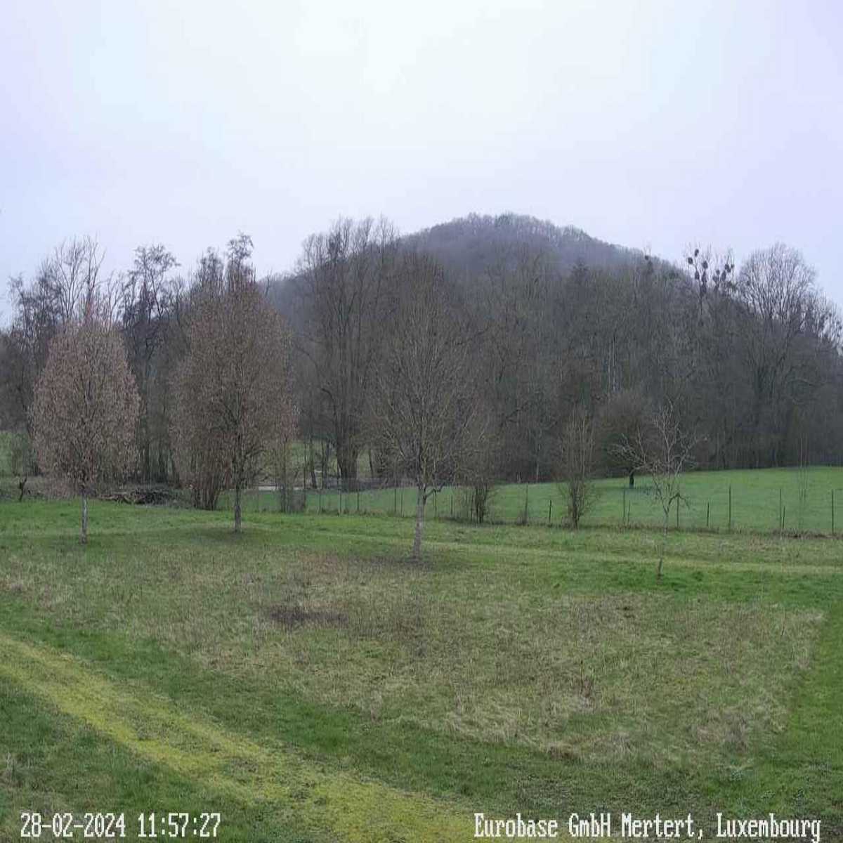 Kottenheim webcam
