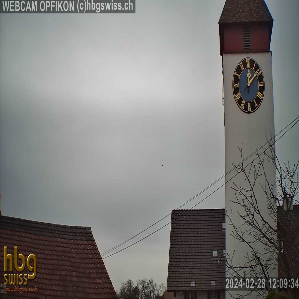 Uster webcam