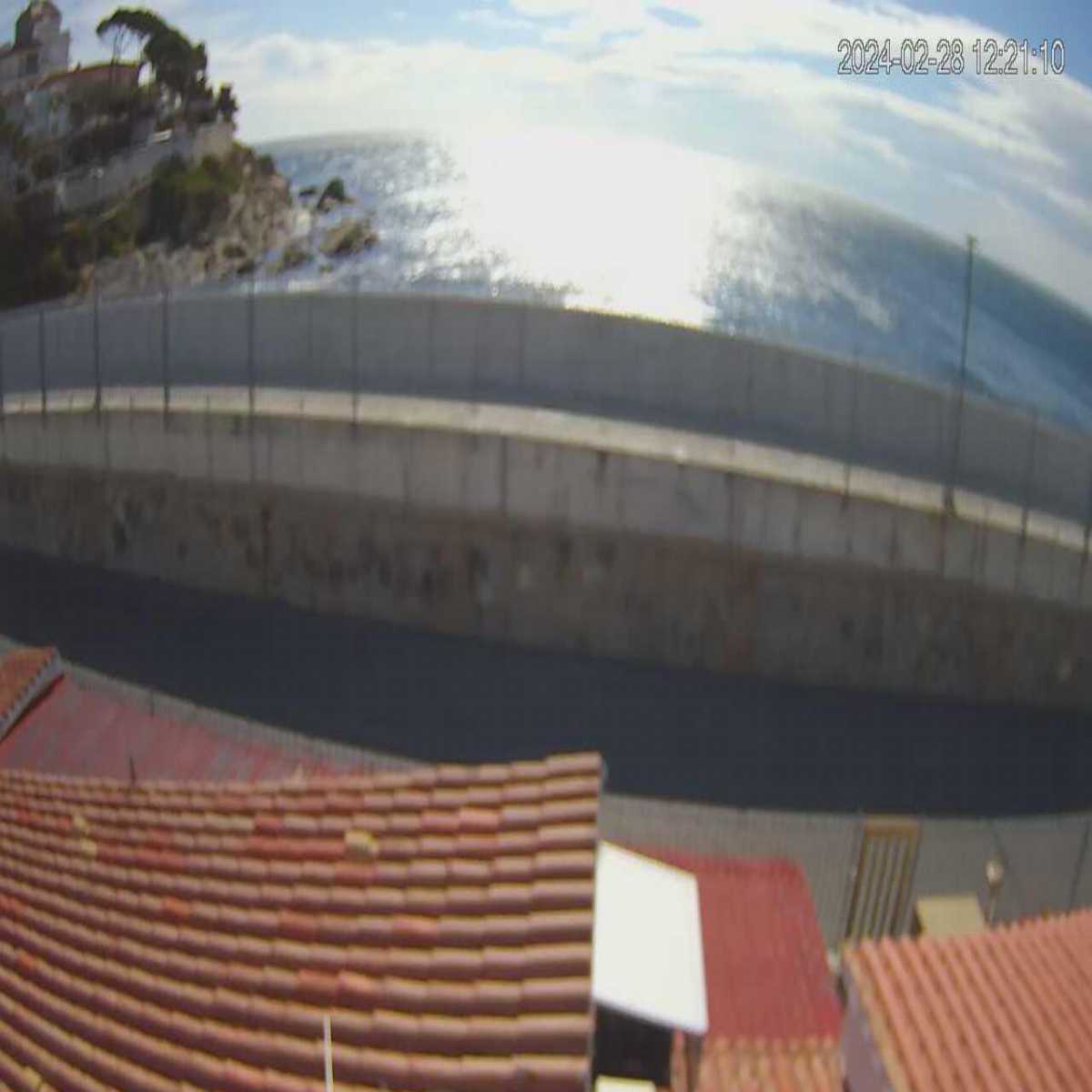 Moia webcam