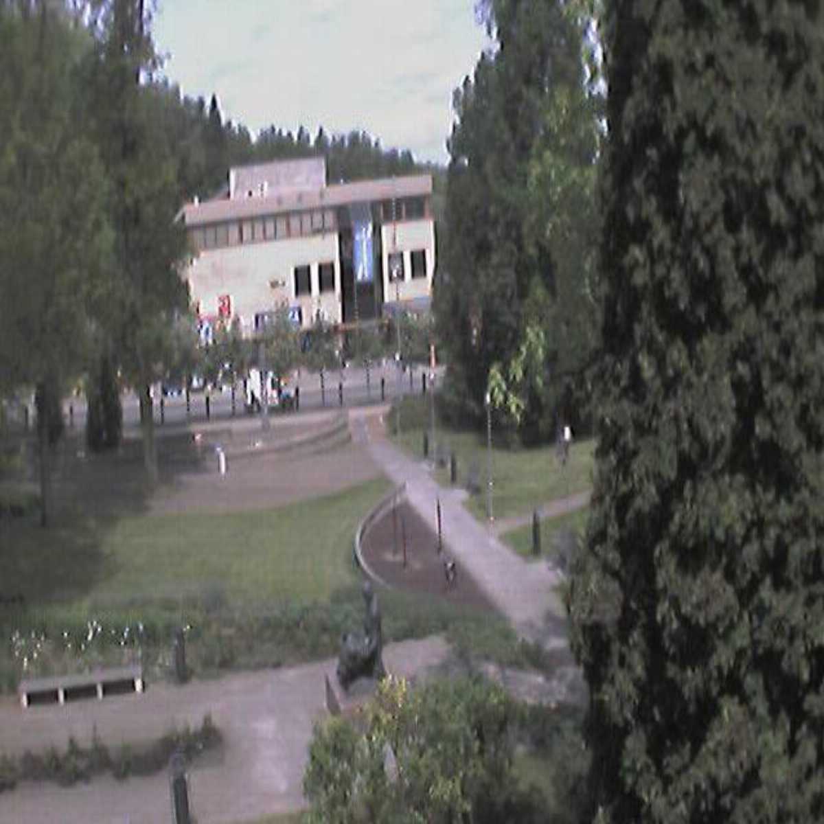 Polva webcam