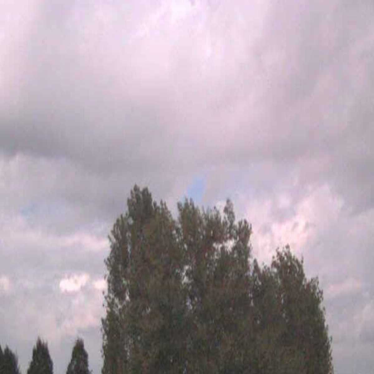 Colle Umberto webcam