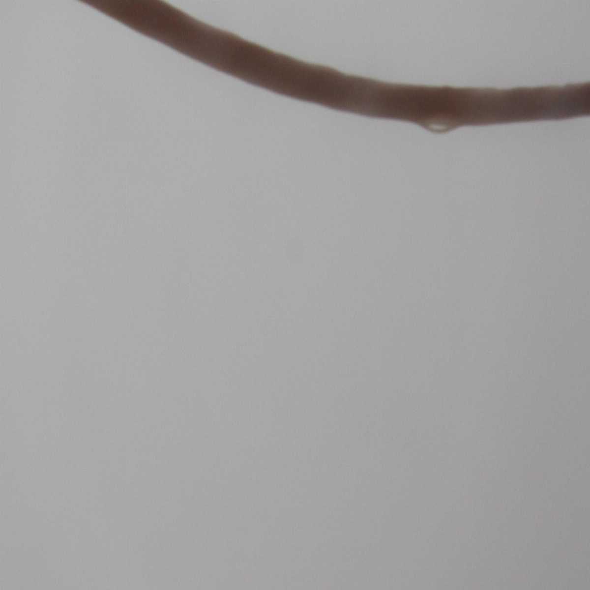 Centro Storico Di San Salvo webcam