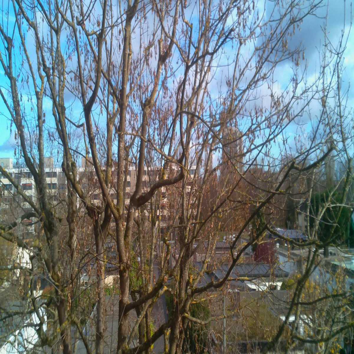 Stadtprozelten webcam