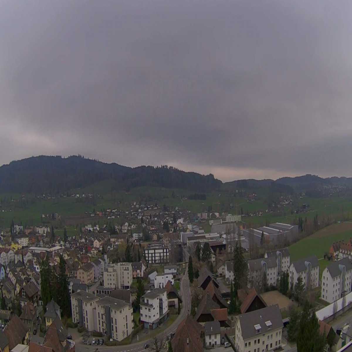 Moriken Wildegg webcam