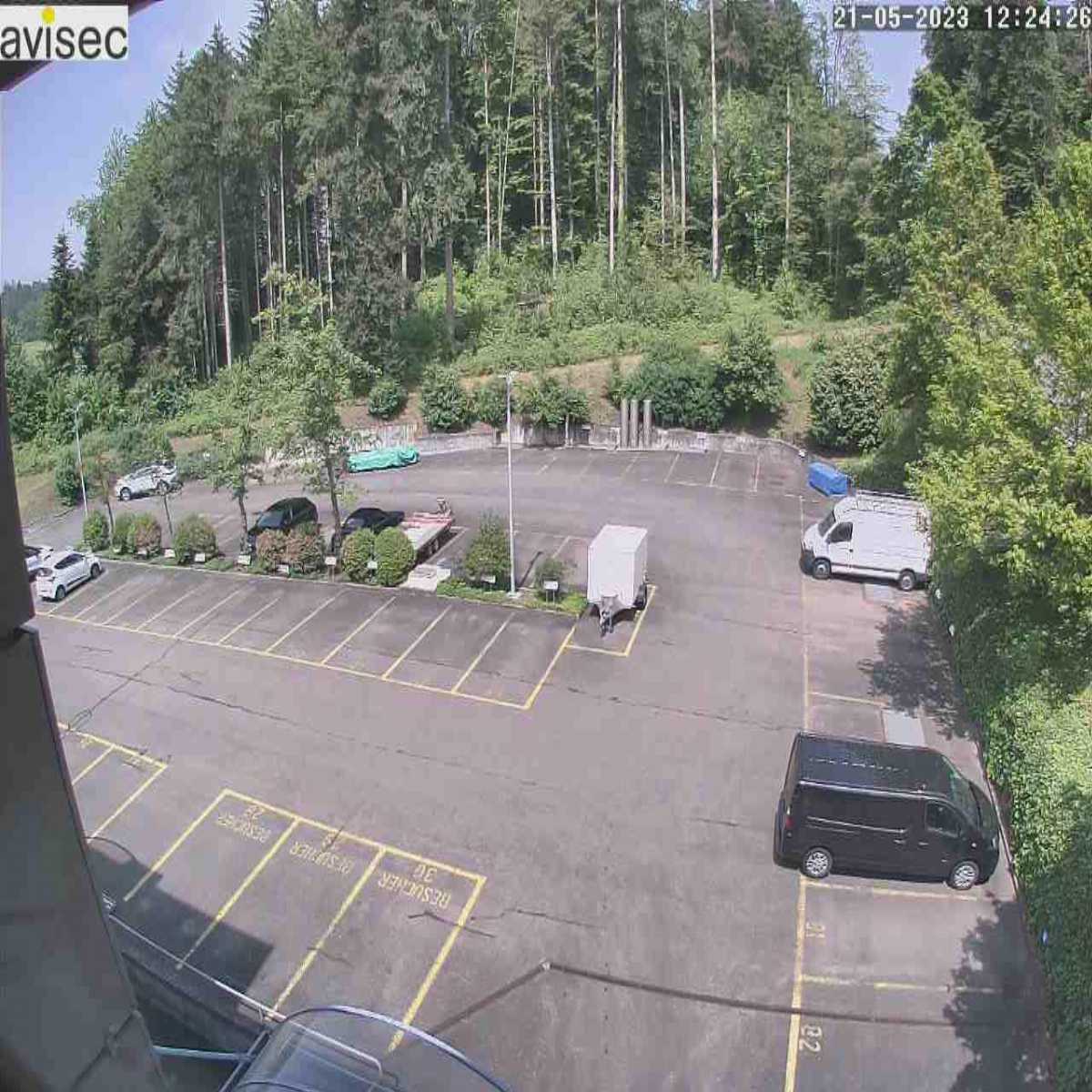 Moriken Wildegg webcam