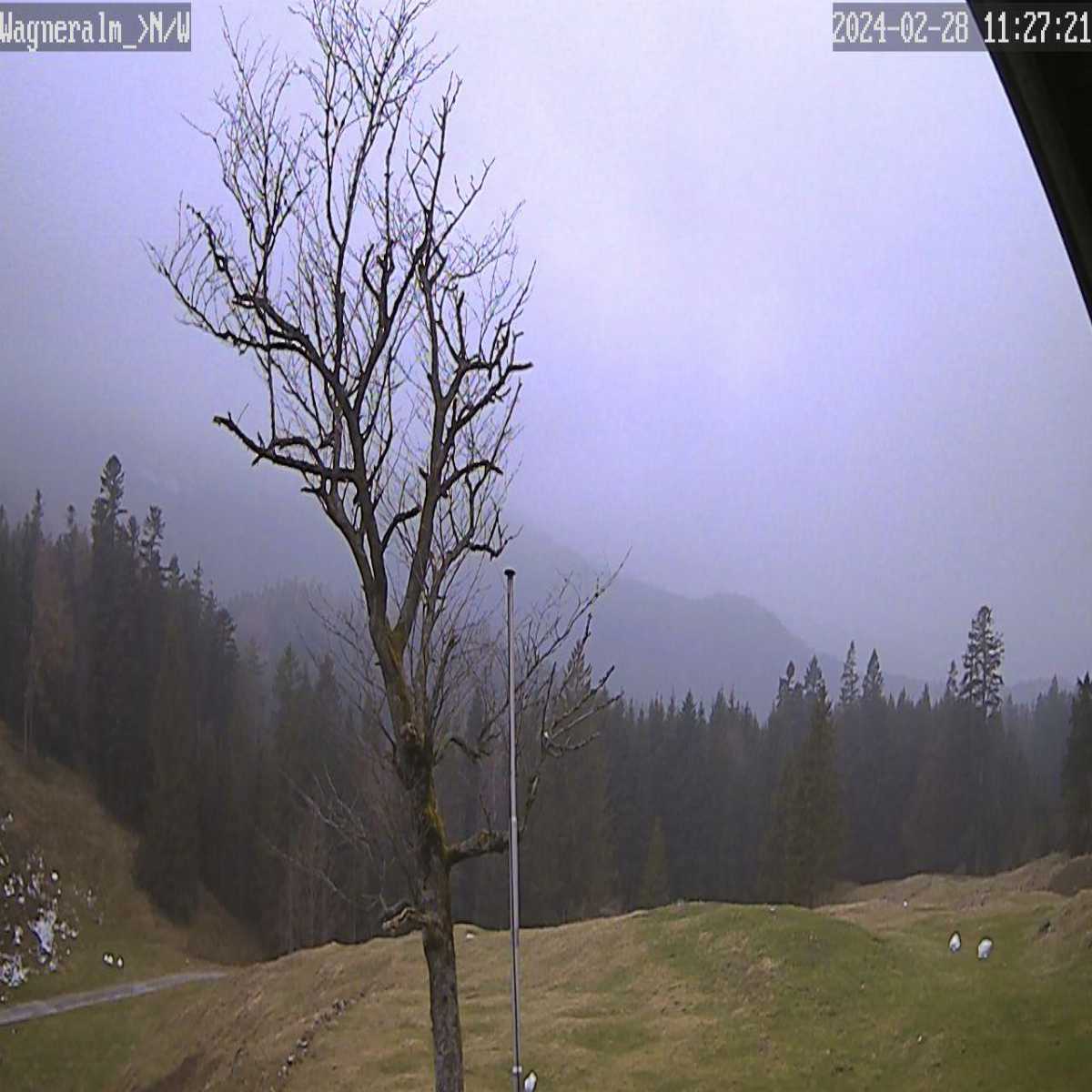 Baierbrunn webcam