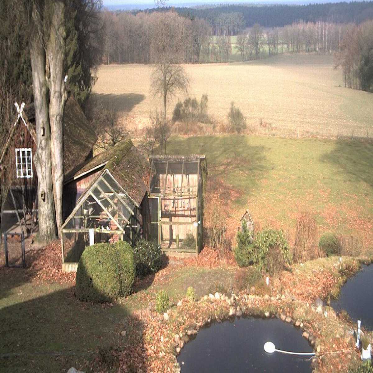 Alfeld Leine webcam