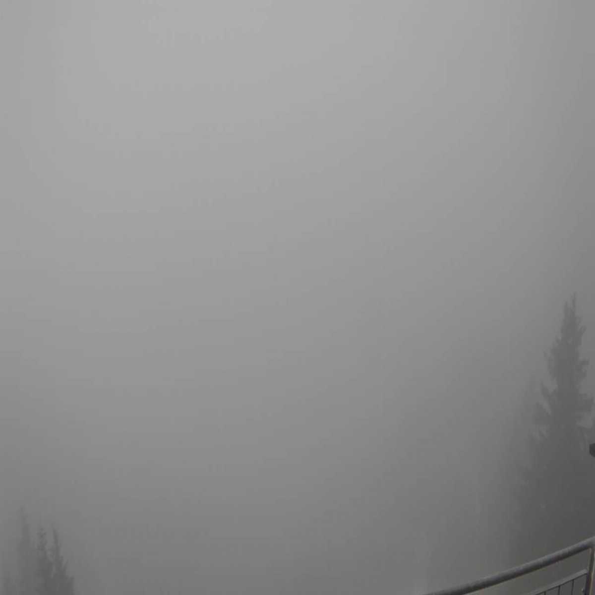 Baierbrunn webcam