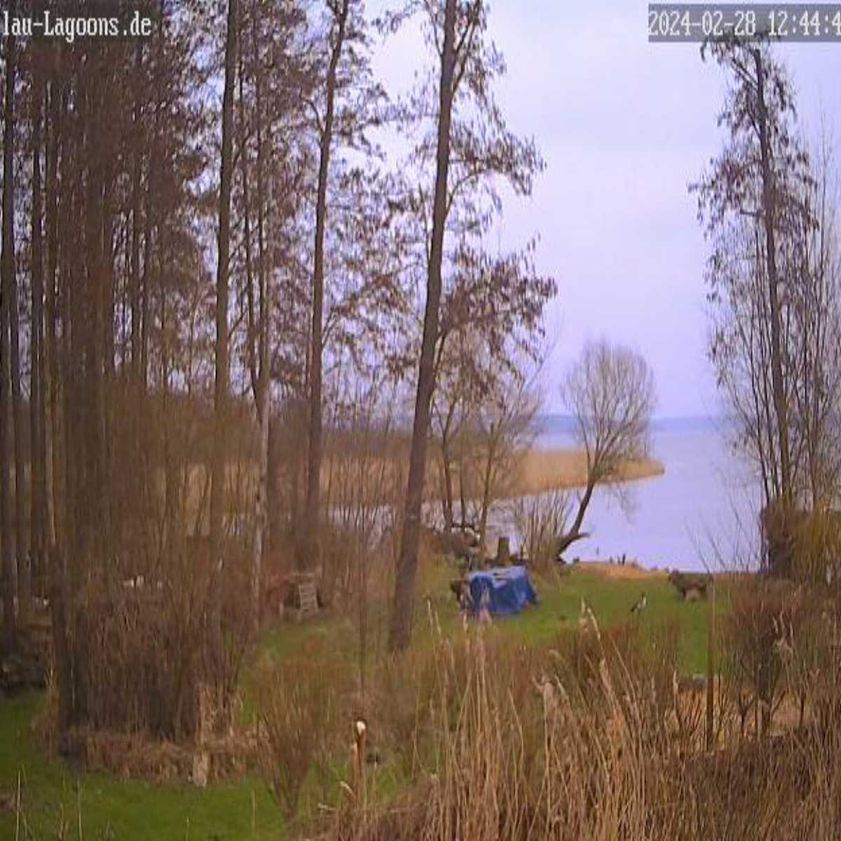Greifswald webcam