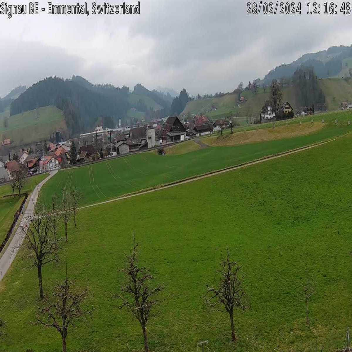 Valbirse webcam