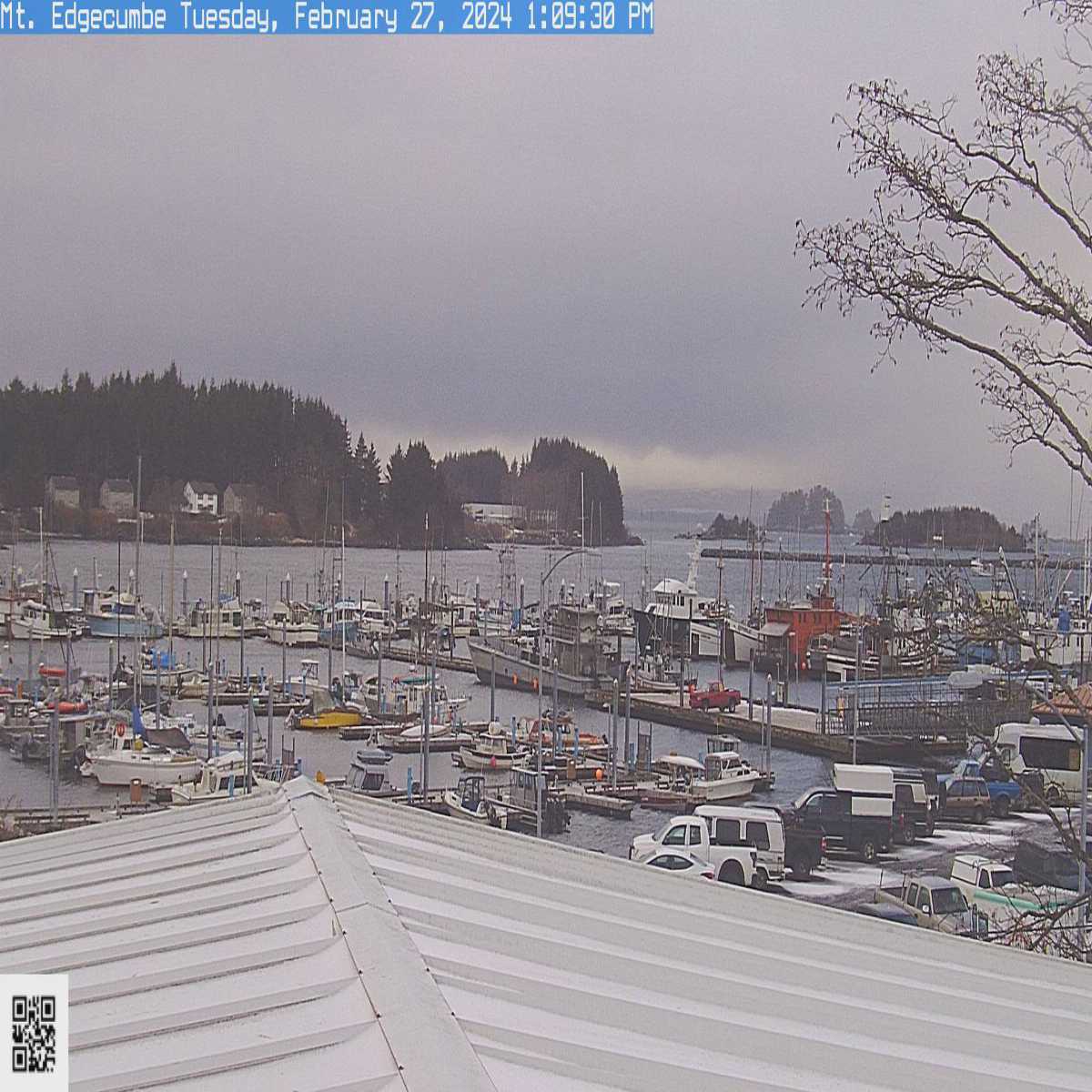 Anchorage webcam